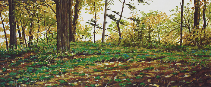001-Waldlichtung-2004-16.5x39cm