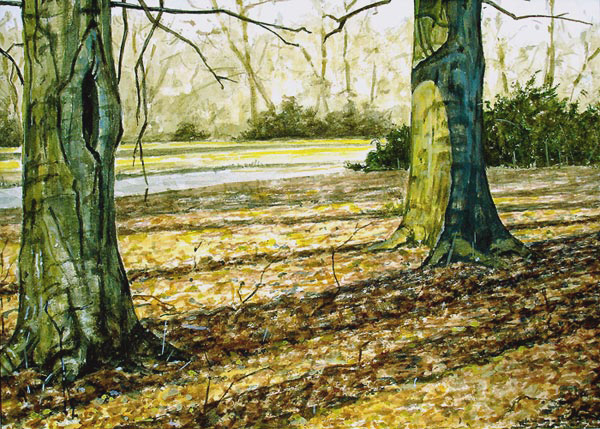 003-Baeume-im-Licht-2004-18.2x25.2cm