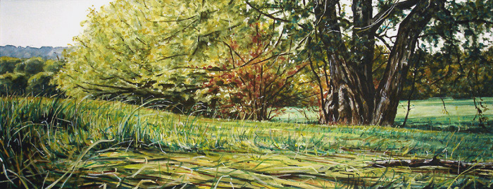 023-Wildes-Gras-2005-17x54cm