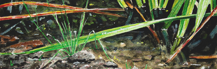 031-Graeser-I-2008-10x30cm