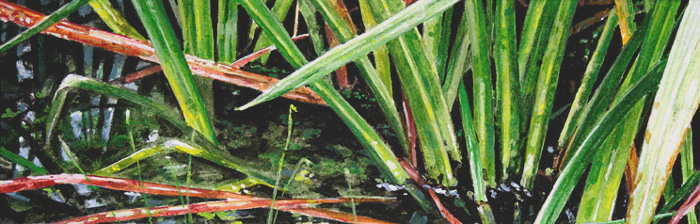 032-Graeser-II-2008-10x30cm
