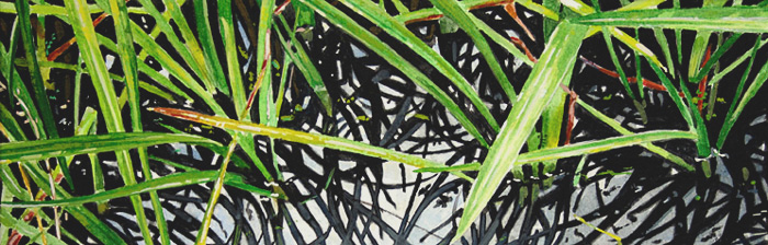 033-Graeser-III-2008-10x30cm