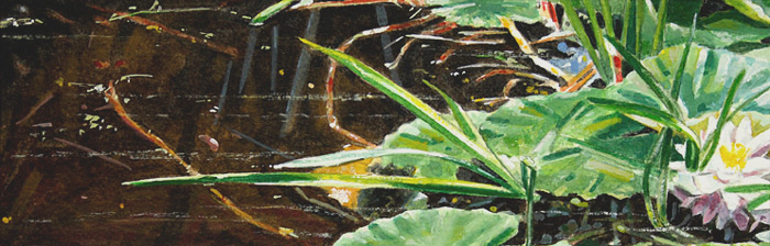 034-Seerosen-I-2008-10x30cm