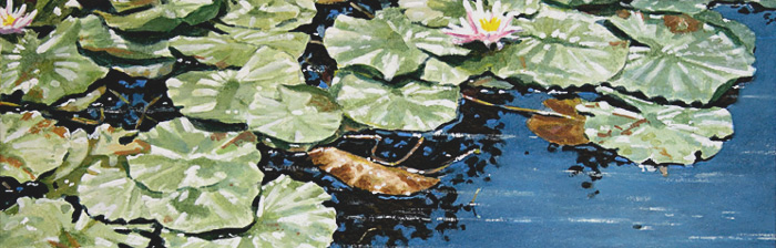 036-Seerosen-III-2008-10x30cm