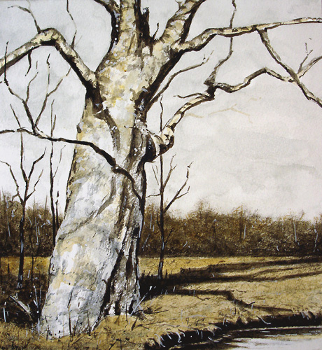037-Grosser-Bruder-2006-26x24cm