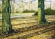 003-Baeume-im-Licht-2004-18.2x25.2cm