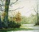 005-Baeume-2004-21.2x25.7cm