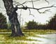 007-Ansicht-mit-Baum-2004-20.5x25.5cm