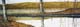 011-Baeume-am-Wasser-II-2005-16x47cm