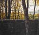 014-Im-Gegenlicht-2004-18x20cm