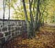015-Allee-mit-Baeumen-2004-18x20cm