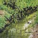 018-Gruenes-Wasser-2005-22.5x22.5cm