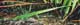 031-Graeser-I-2008-10x30cm