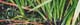 032-Graeser-II-2008-10x30cm