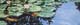 035-Seerosen-II-2008-10x30cm