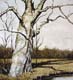 037-Grosser-Bruder-2006-26x24cm