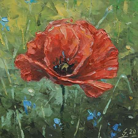 Studie-106-Mohn-II-2020-Oel-Kt-15x15cm