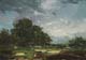 Studie-005-Landschaft-2019-Oel-Kt-14x20cm