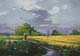 Studie-072-Landschaft-2019-Oel-Kt-14x20cm