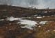 Studie-081-Landschaft-2019-Oel-Kt-14x20cm