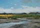 Studie-094-Landschaft-2019-Oel-Kt-14x20cm