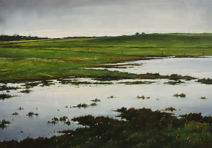 185-Weideland-2016-Oel-Lw-70x100cm
