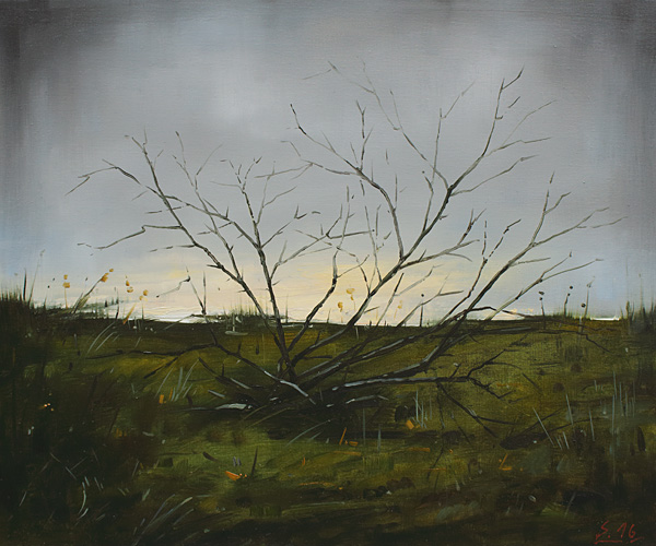 213-Gegen-Abend-2016-Oel-Lw-50x60cm