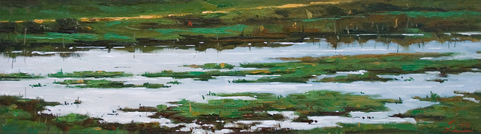 222-Deichvorland-Hamburger-Hallig-I-2013-Oel-Lw-Holz-14x50cm