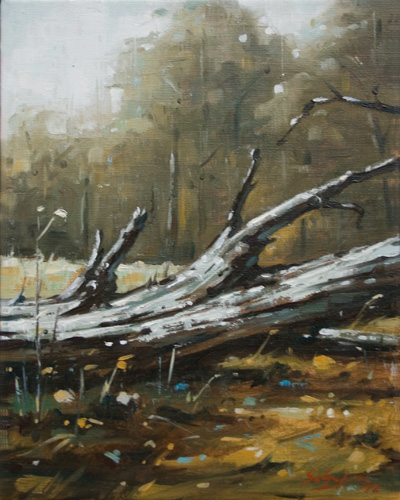 252-Zeichen-II-2012-Oel-Lw-30x24cm