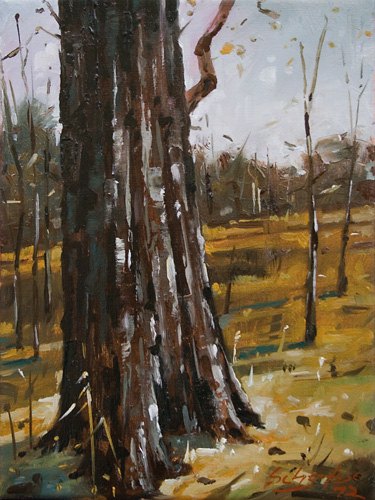 256-Ks-Waldszene-III-2012-Oel-Lw-24x18cm