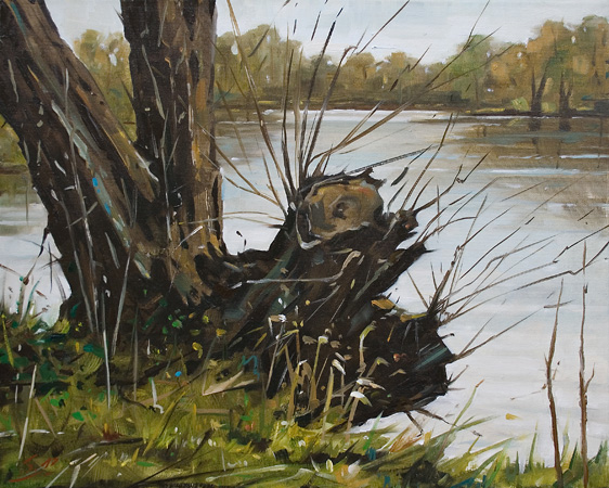 261-Am-Wasser-2012-0el-Lw-40x50cm