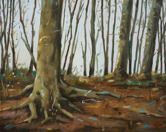 263-Waldszene-bei-Kassel-II-2012-Oel-Holz-24x30cm