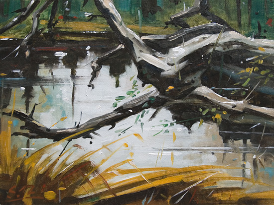 265-Wasserspiegelungen-im-Wald-III-2012-Oel-Lw-Holz-18x24cm