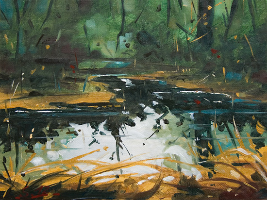 266-Wasserspiegelungen-im-Wald-II-2012-Oel-Lw-Holz-18x24cm