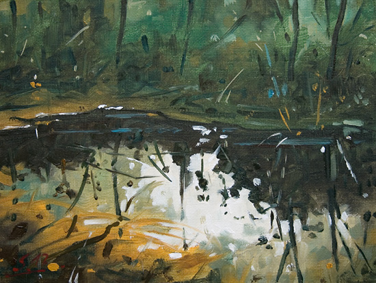 267-Wasserspiegelungen-im-Wald-I-2012-Oel-Lw-Holz-18x24cm