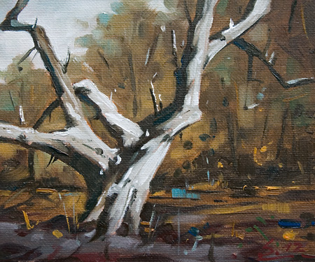 268-Wald-bei-Kassel-mit-altem-Baum-III-2012-Oel-Lw-Holz-15x18cm