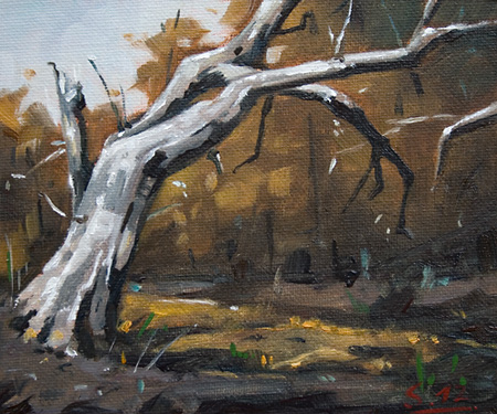 270-Wald-bei-Kassel-mit-altem-Baum-I-2012-Oel-Lw-Holz-15x18cm