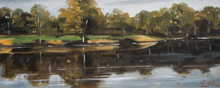 279-Bugagelaende-Ks-2012-Oel-Holz-12x30cm