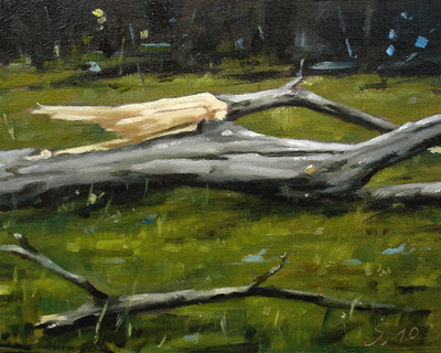 283-Windbruch-II-2010-Oel-Holz-12x15cm