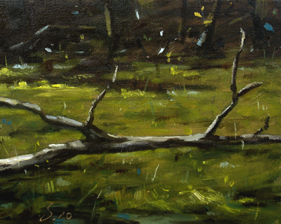 284-Windbruch-I-2010-Oel-Holz-12x15cm