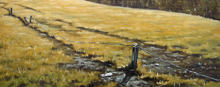 290-Wiesenstueck-am-Doernberg-2008-Oel-Holz-20x50cm