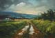 103-Feldweg-2016-Oel-Kt-14x20cm