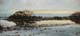 166-Hochwasser-im-Abendlicht-2016-Oel-Holz-50x110cm