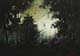 179-Im-Wald-III-2016-Oel-Kt-14x20cm