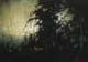 181-Im-Wald-I-2016-Oel-Kt-14x20cm