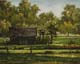 196-Am-Waldrand-II-2016-Oel-Lw-24x30cm