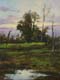 207-Abends-im-Teufelsmoor-2016-Oel-Lw-24x18cm