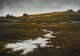 209-Winterspuren-anbrechende-Nacht-2016-Oel-Lw-70x100cm