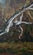 218-Im-Wald-IV-2013-Oel-Holz-24x15cm