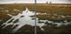 234-Lost-Landscape-VII-Deichvorland-Spiegelung-2013-Oel-Lw-2x60x60cm